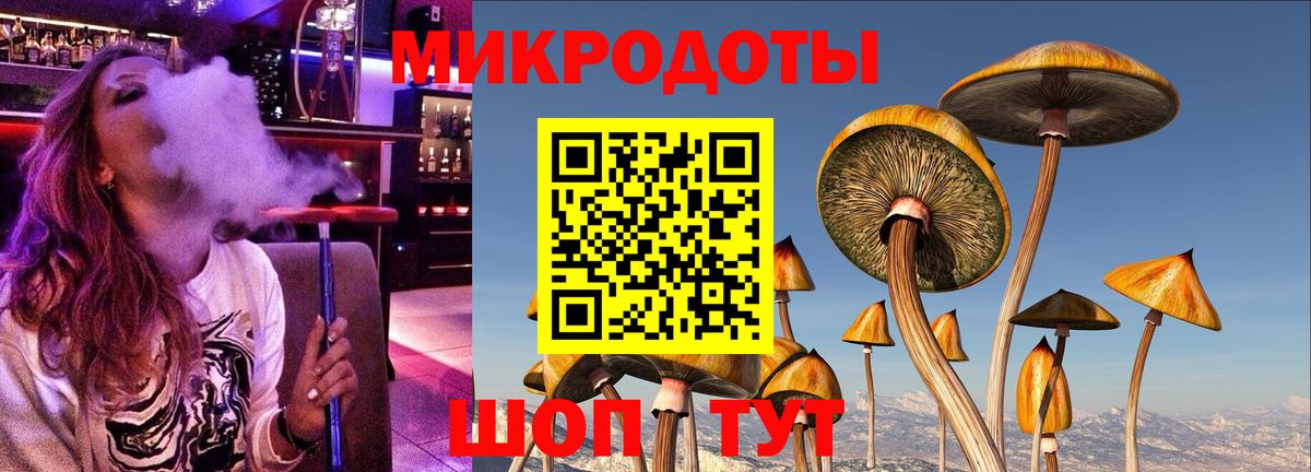 Псилоцибиновые грибы Psilocybe  Псилоцибиновые грибы мухоморы  Балашов  купить наркотик  Вход с VPN 